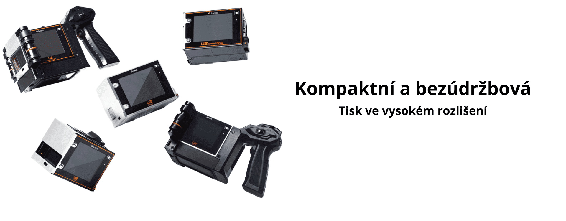 anser_slide2.png
